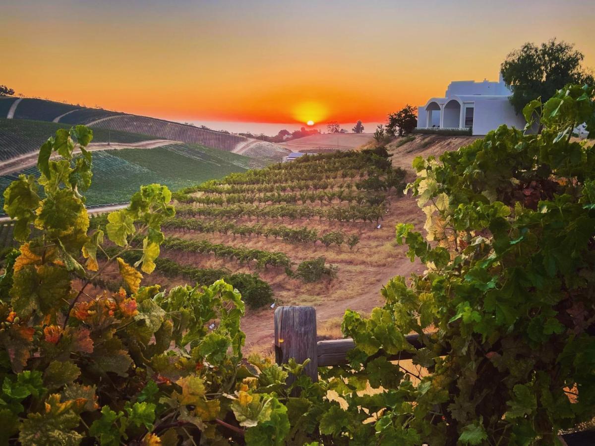 Sirena Vineyard Resort Paso Robles Exterior foto